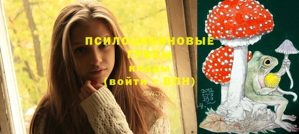 герыч Новодвинск